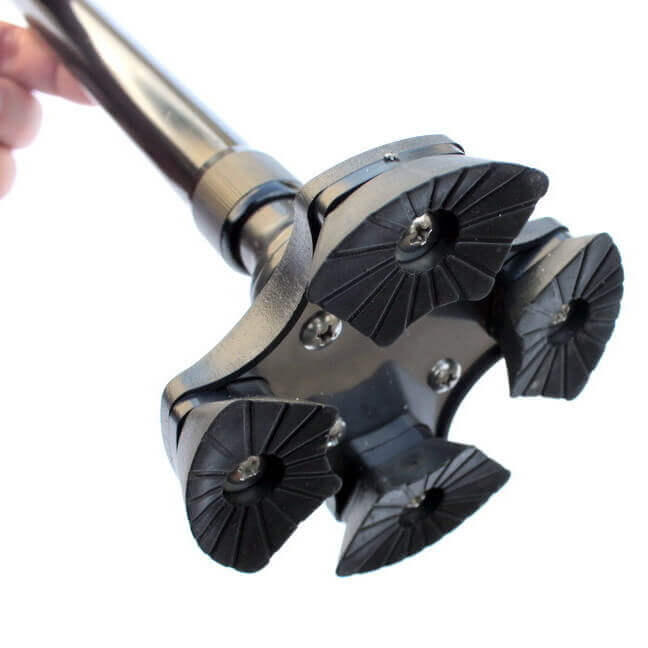 SmartCane™
